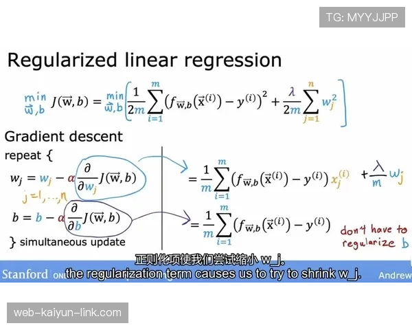 罚球区到底有哪些特殊规则？一文拆解禁区内的判罚逻辑